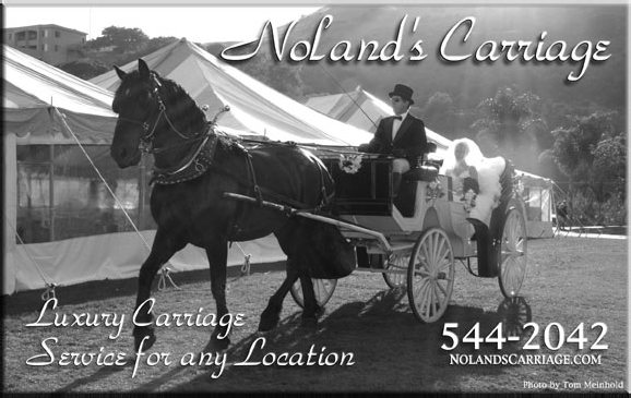 Black-and-white wedding carriage photograph