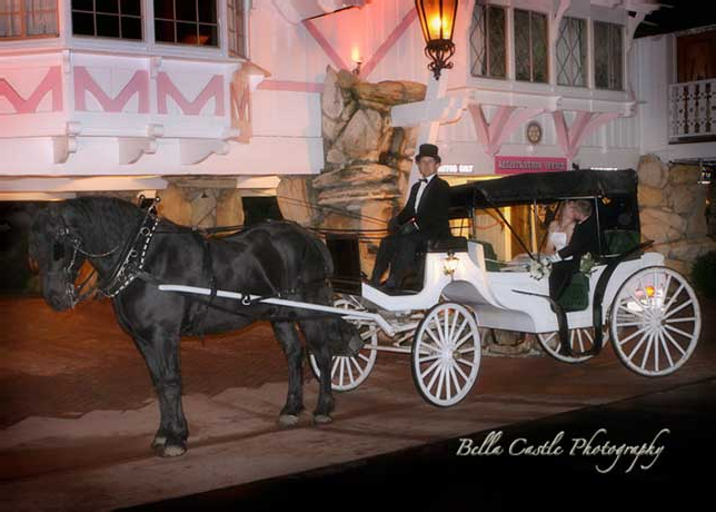 Bride and groom in a wedding carriage