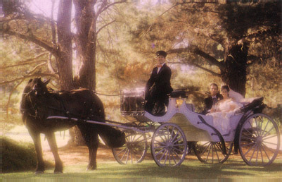White horse and open carriage