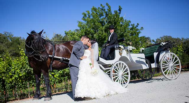 Bride and groom in the carriage in the rain
