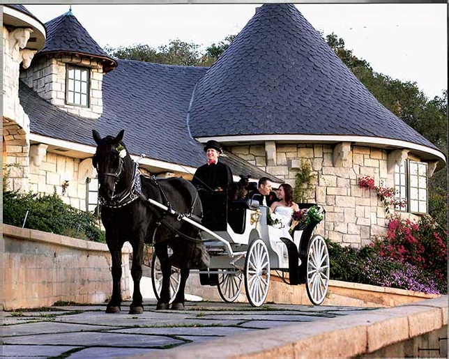 White horse and carriage outside a venue