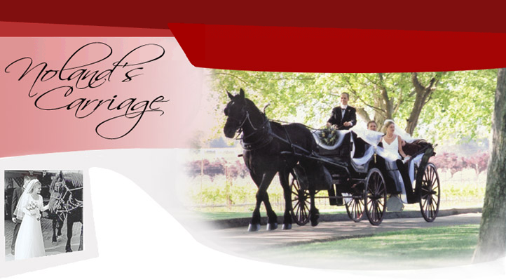 Noland's Horse-Drawn Carriages