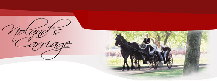 Noland's Horse-Drawn Carriages